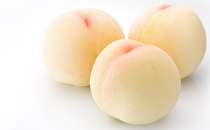 桃 ぶどう 定期便 2025年 先行予約 岡山満喫！ 清水 白桃 約2.0kg 6～8玉 ぶとう 2種 詰合せ 2回に分けてお届け!