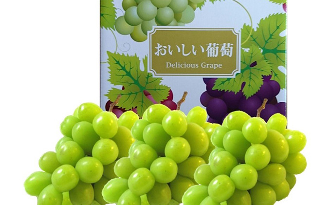ぶどう 2025年 先行予約 定期便 岡山名産 シャインマスカット 3房 (約2.0kg) 3回連続お届け！ 葡萄 岡山県 赤磐市産 フルーツ 果物 あかいわファーマーズガーデン