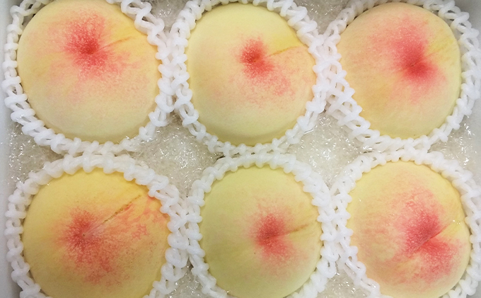 桃 2026年 先行予約 8月の旬な 白桃 をお届け！約1.5kg 5～7玉 糖度センサー選果 糖度12度以上 もも モモ 岡山県 赤磐市産 国産 フルーツ 果物 ギフト あみかフルーツ