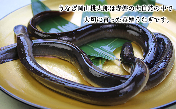 味心逆瀬川 うなぎ 料理 お食事券 (10,000円分)＋ 室町酒造 お買物券 (5,000円分) セット 1枚 お酒 日本料理