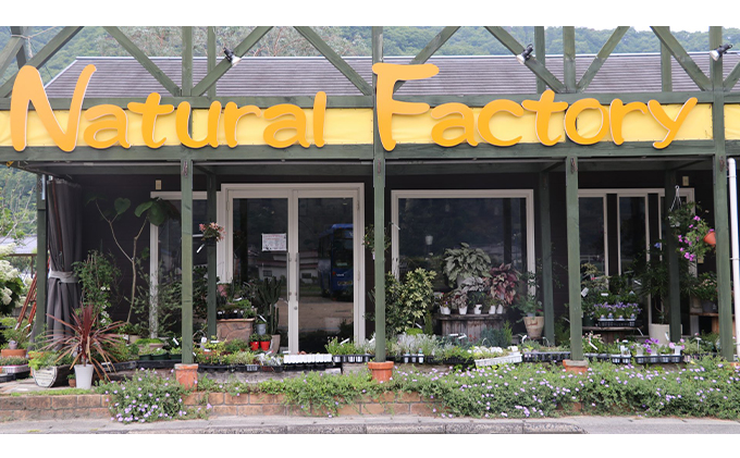 【 母の日 ギフト 】 手造り ボトルフラワー 贈り物 ギフト インテリア 植物 花　オレンジ系