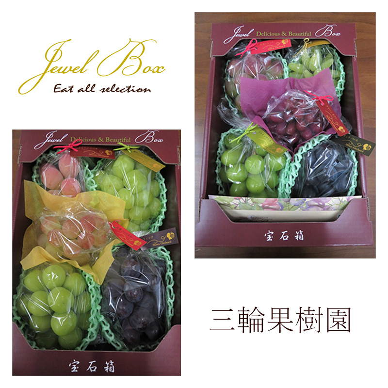 ぶどう 2026年 先行予約 ジュエルボックス 皮ごと食べることのできる 葡萄 4～5品種 詰合せ 約2kg ブドウ 葡萄 岡山県 赤磐市産 国産 フルーツ 果物 ギフト 三輪果樹園 岡山のぶどう 食べ比べ
