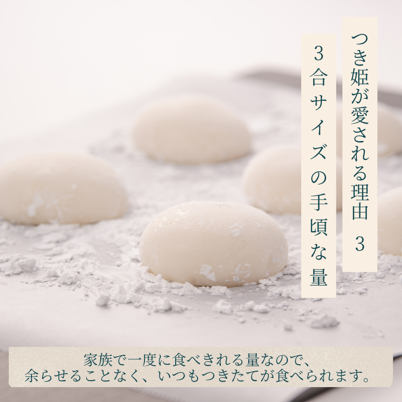 みのる産業 3合餅つき機 つき姫 リッチホワイト 餅つき機 ホワイト