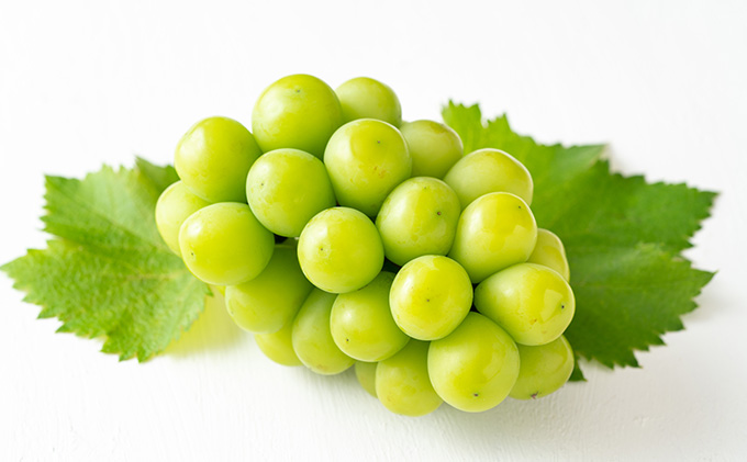 桃 ぶどう 定期便 2025年 先行予約 岡山満喫！ 清水 白桃 約2.0kg 6～8玉 ぶとう 2種 詰合せ 2回に分けてお届け!