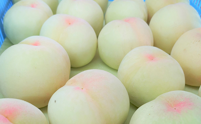 飲み物 フルーツ 翠果撰 岡山 清水白桃 ドリンク 1本 500ml 簡易箱入り