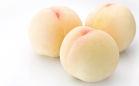 桃 ぶどう 2025年 先行予約 清水 白桃 2kg シャインマスカット 晴王 2房 1房550g以上 2回に分けてお届け！もも 葡萄 定期便 岡山 国産 フルーツ 果物 ギフト 桃茂実苑