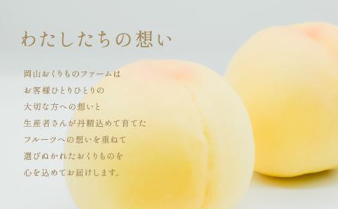 桃 2026年 先行予約 旬 の 白桃 5～6玉入り 約1.5kg 贈答用 もも モモ 岡山県 赤磐市産 国産 フルーツ 果物 ギフト
