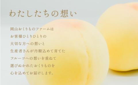 固めの 桃 2026年 先行予約 白桃 白皇 (はくおう) 5～6玉入り(約1.5kg) 贈答用 もも モモ 岡山県 赤磐市産 国産 フルーツ 果物 ギフト