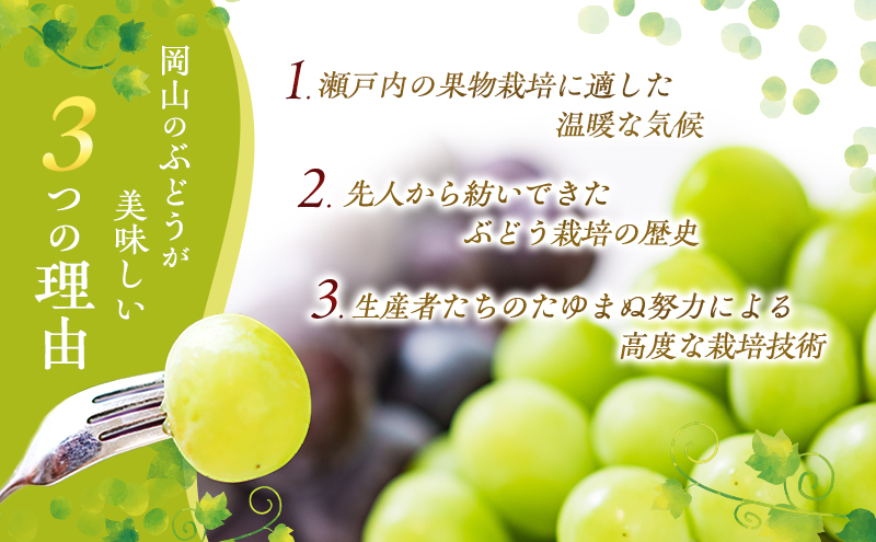 ぶどう 2026年 先行予約 ご家庭用 シャイン マスカット 2房 1房600g～700g 8月下旬～9月中旬発送分 ブドウ 葡萄 フルーツ 果物 岡山 赤磐市産 農マル園芸 あかいわ農園