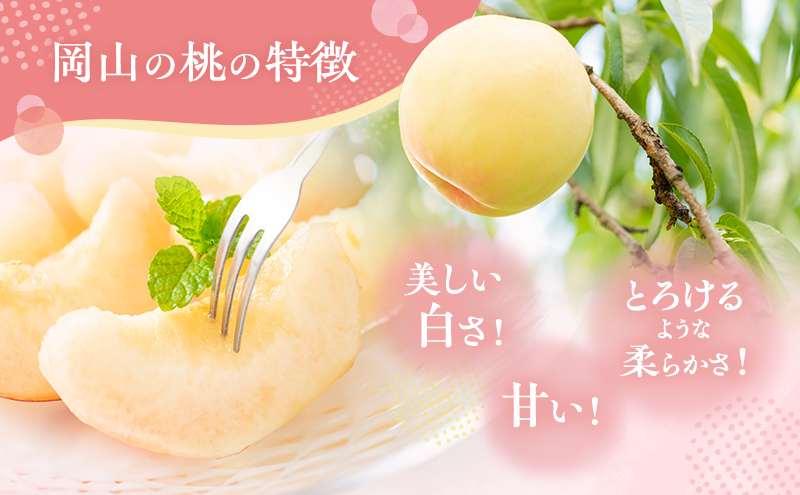 桃 2026年 先行予約 訳あり品 白桃 白鳳 約1.8kg 5～7玉 もも モ