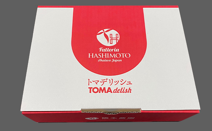 フルーツ トマト ［2026年先行予約］ トマデリッシュ 約1.2kg 橋本農園 岡山 野菜 高糖度 旨味 弾力 果実 甘い サラダ そのまま 岡山県産 緑黄色野菜