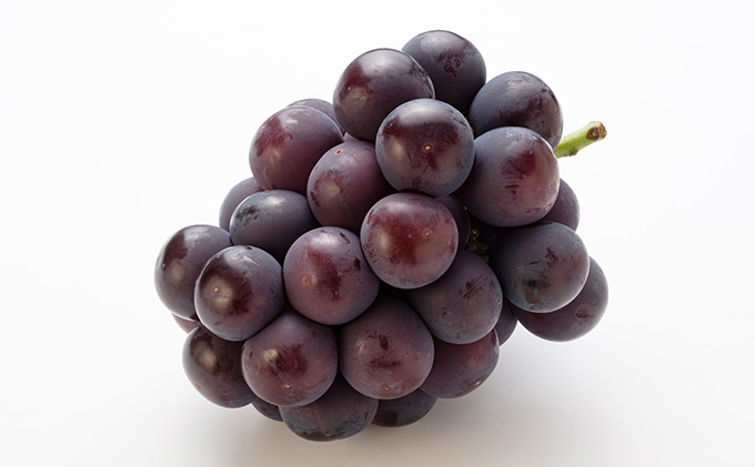 桃 ぶどう 定期便 2025年 先行予約 岡山満喫！ 清水 白桃 約2.0kg 6～8玉 ぶとう 2種 詰合せ 2回に分けてお届け!