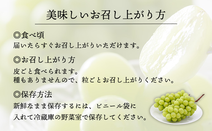 ぶどう 2026年 先行予約 シャイン マスカット 3～4房 約2.0～2.5kg 秀品 ブドウ 葡萄 岡山 赤磐市産 国産 フルーツ 果物 ギフト 果物類 デザート 食後 産地直送 大房 甘い 種なし 皮ごと 大粒