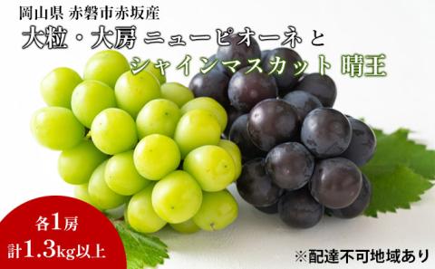 ぶどう 2026年 先行予約 シャイン マスカット 晴王 1房 ニューピオーネ 大粒 大房 1房 合計1.3kg以上 ブドウ 葡萄 岡山県 赤磐市産 国産 フルーツ 果物 ギフト 赤坂青空市 果物類