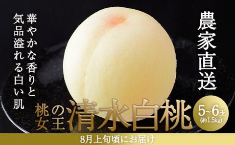 桃 2026年 先行予約 清水 白桃 5～6玉入り(約1.5kg) 贈答用 もも モモ 岡山県 赤磐市産 国産 フルーツ 果物 ギフト
