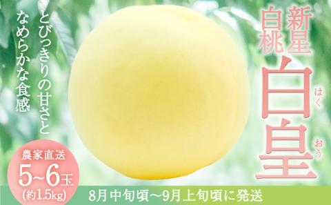 固めの 桃 2026年 先行予約 白桃 白皇 (はくおう) 5～6玉入り(約1.5kg) 贈答用 もも モモ 岡山県 赤磐市産 国産 フルーツ 果物 ギフト
