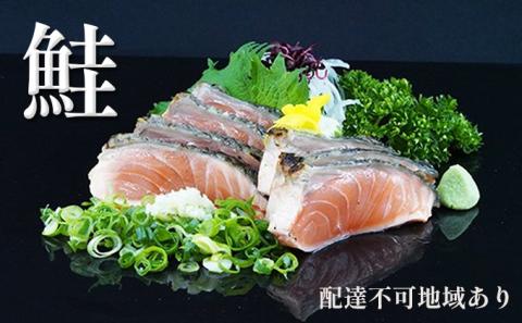 【 すえひら 】 鮭 ( さけ ) の たたき 5人前 セット 魚貝類 サーモン 鮭のたたき サケ さけのたたき