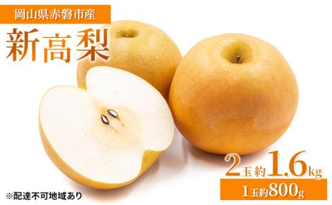 梨 2025年 先行予約 新高梨 2玉 約1.6kg（1玉約800g）岡山県 赤磐市産【配達不可：離島】 なし フルーツ 果物 ナシ 果物類