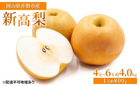 梨 2025年 先行予約 新高梨 4玉～6玉 約4.0kg（1玉約800g）岡山県赤磐市産【配達不可：離島】 なし フルーツ 果物 ナシ 果物類