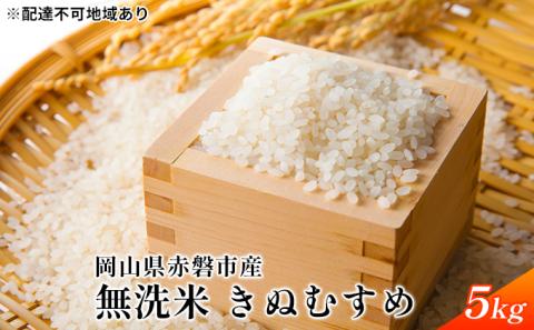 令和7年度産 無洗米 きぬむすめ 5kg 白米 お米 岡山 赤磐市産 精米 ご飯 おにぎり ライス もちもち ツヤのある炊き上がり 7年連続特Aランクを獲得