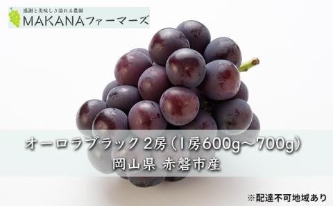 ぶどう 2026年 先行予約 オーロラ ブラック 2房（1房600g～700g） 大粒 種無し ブドウ 葡萄 岡山県 赤磐市産 国産 フルーツ 果物 ギフト MAKANAファーマーズ 果物類 オーロラブラック