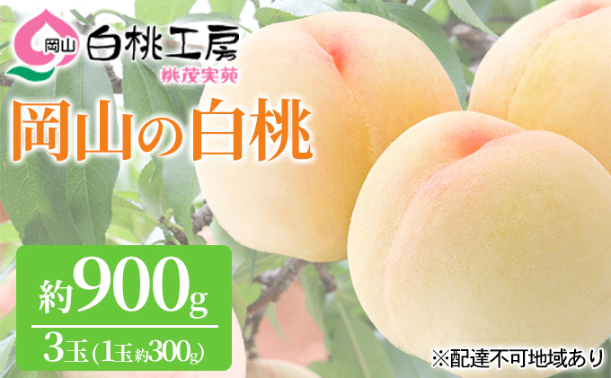 桃 2026年 先行予約 白桃 3玉 合計約900g（1玉約300g） もも モ