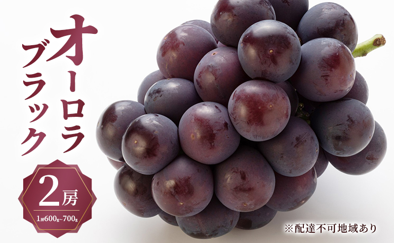 ぶどう 2026年 先行予約 オーロラ ブラック 2房（1房600g～700g） 大粒 種無し ブドウ 葡萄 岡山県 赤磐市産 国産 フルーツ 果物 ギフト MAKANAファーマーズ 果物類 オーロラブラック