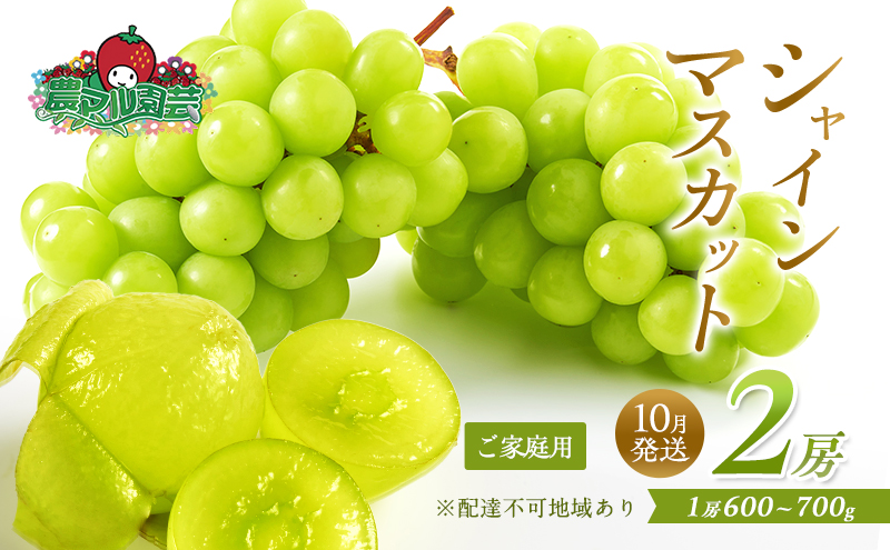 ぶどう 2026年 先行予約 ご家庭用 シャイン マスカット 2房 1房600g～700g 10月発送分 ブドウ 葡萄 フルーツ 果物 岡山 赤磐市産 農マル園芸 あかいわ農園 果物類 歯ごたえ ジューシー 上品な甘み