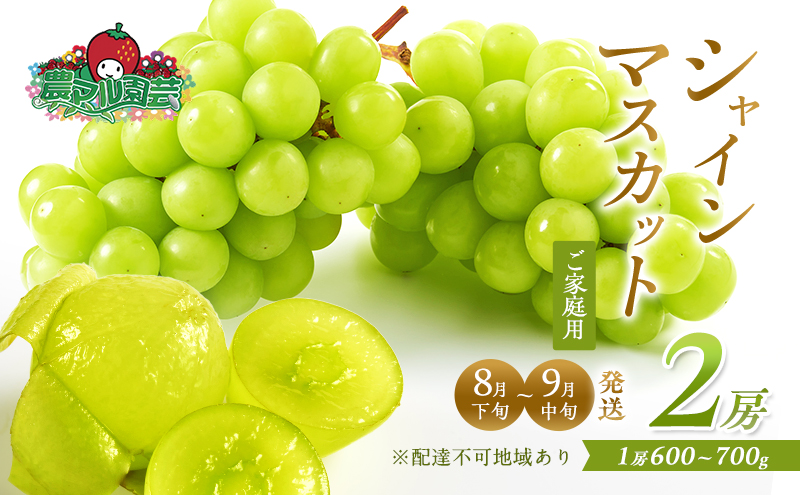 ぶどう 2026年 先行予約 ご家庭用 シャイン マスカット 2房 1房600g～700g 8月下旬～9月中旬発送分 ブドウ 葡萄 フルーツ 果物 岡山 赤磐市産 農マル園芸 あかいわ農園