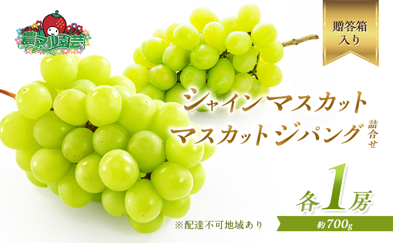 ぶどう 2026年 先行予約 シャイン マスカット 1房 マスカット ジパング 1房 各約700g 詰合せ 贈答箱 ブドウ 葡萄 フルーツ 果物 岡山 赤磐市産 農マル園芸 あかいわ農園