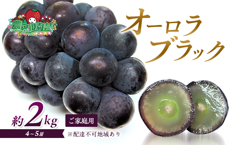 ぶどう 2026年 先行予約 オーロラブラック 約2kg 4～5房 ご家庭用 ブドウ 葡萄 フルーツ 果物 岡山 赤磐市産 農マル園芸 あかいわ農園 種なし 大粒 高糖度