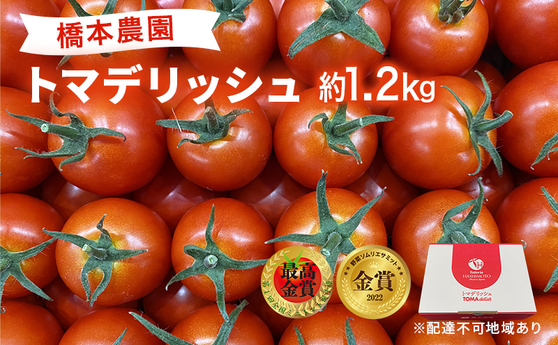 フルーツ トマト ［2026年先行予約］ トマデリッシュ 約1.2kg 橋本農園 岡山 野菜 高糖度 旨味 弾力 果実 甘い サラダ そのまま 岡山県産 緑黄色野菜