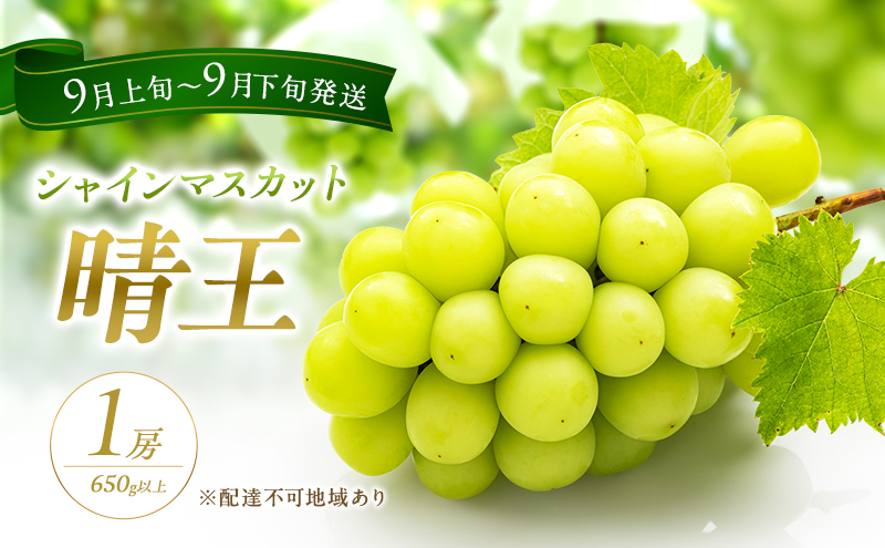 ぶどう 2026年 先行予約 シャイン マスカット 晴王 1房 650g以上 2026年9月上旬～9月下旬発送分 ブドウ 葡萄 岡山県 赤磐市産 国産 フルーツ 果物 ギフト 赤坂青空市 種無し