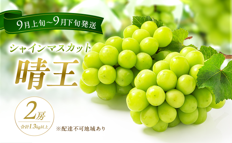 ぶどう 2026年 先行予約 シャイン マスカット 晴王 2房 合計1.3kg以上 2026年9月上旬～9月下旬発送分 ブドウ 葡萄 岡山県 赤磐市産 国産 フルーツ 果物 ギフト 赤坂青空市 種無し