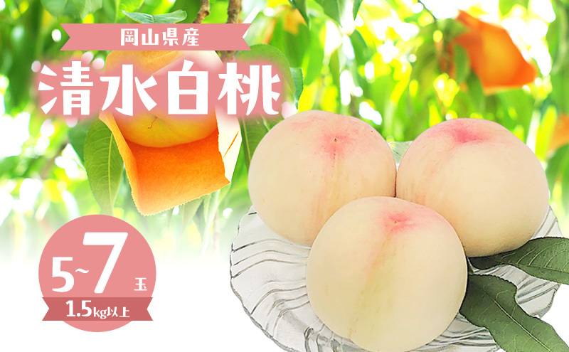 桃 2026年 数量限定 清水白桃 5～7玉 計1.5kg以上 岡山県 赤磐市産