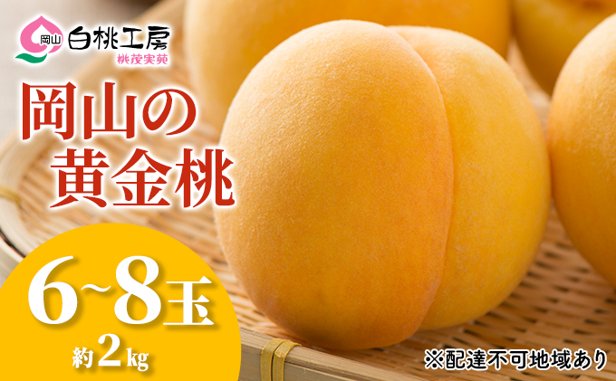 桃 2026年 先行予約 黄金桃 2kg 6～8玉 もも モモ 岡山 国産 フルーツ 果物 ギフト 桃茂実苑 果肉