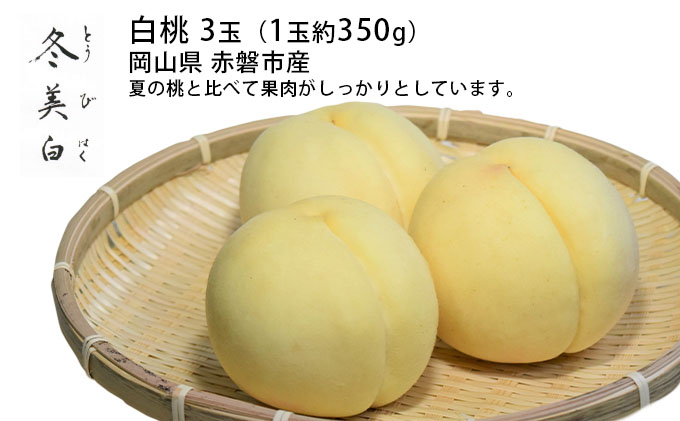 桃 2026年 先行予約 白桃 冬美白 とうびはく 3玉 1玉約350g もも モモ 令和7年 岡山 赤磐市産 国産 フルーツ 果物 ギフト 果肉 しっかり 柔らかい 食感 大変貴重 高糖度 栽培方法