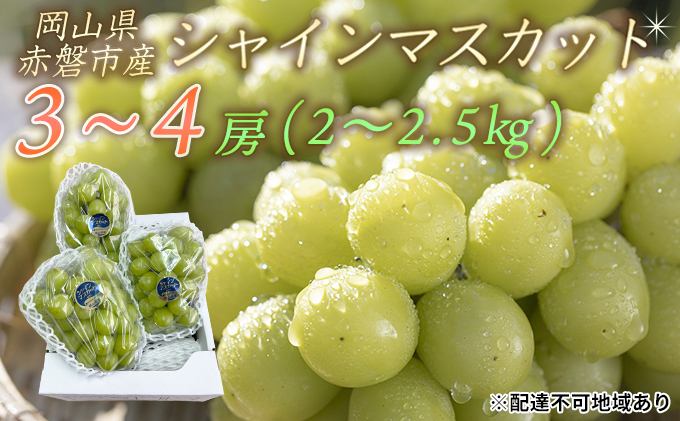 ぶどう 2026年 先行予約 シャイン マスカット 3～4房 約2.0～2.5kg 秀品 ブドウ 葡萄 岡山 赤磐市産 国産 フルーツ 果物 ギフト 果物類 デザート 食後 産地直送 大房 甘い 種なし 皮ごと 大粒