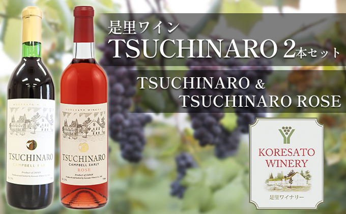 是里 ワイン TSUCHINARO 2本 セット 岡山 赤磐市