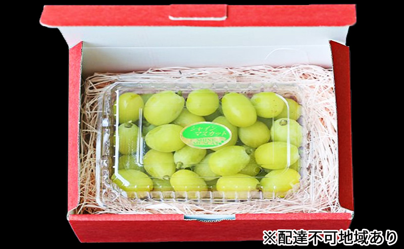 早期受付 シャイン マスカット 1パック（750g以上）  桃茂実苑