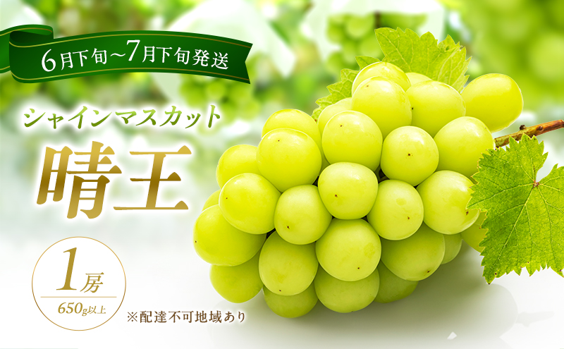 ぶどう 2026年 先行予約 シャイン マスカット 晴王 1房 650g以上 2026年6月下旬～7月下旬発送分 ブドウ 葡萄 岡山県 赤磐市産 国産 フルーツ 果物 ギフト 赤坂青空市 シャインマスカット