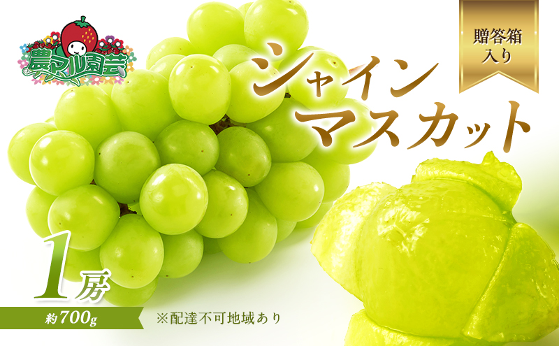 ぶどう 2025年 先行予約 シャイン マスカット 1房 約700g 贈答箱 ブドウ 葡萄 フルーツ 果物 岡山 赤磐市産 農マル園芸 あかいわ農園