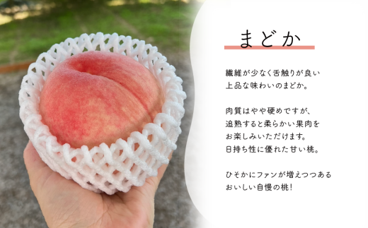 【2026年先行予約】まどか 白桃 上級品 5-7玉入 (岡山県産)【KF-A022-02】