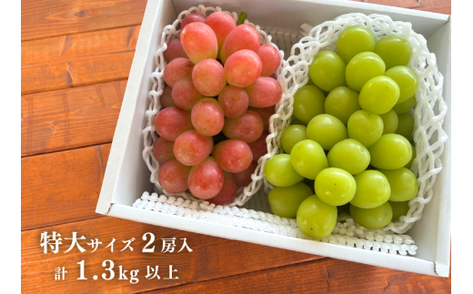 【2026年先行予約】シャインマスカット＆おまかせ葡萄 特大２房入 /計1.3kg~ (岡山県産) 【KF-B022-02】
