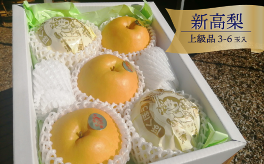 【2026年先行予約】新高梨 上級品 3-6玉 (岡山県産)【KF-C002-01】