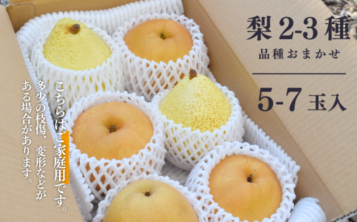 【2026年先行予約】梨好きのための、梨2～3種食べ比べ ご家庭用 5-7玉 (岡山県産) 【KF-C016-02】