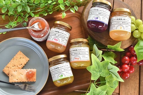  【きよとうファーム】果樹園の品種を楽しむ果実ジャム 6種 (岡山県産) 9月以降順次発送 【KF-K005-01】