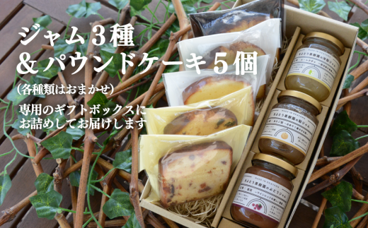 【期間限定】果樹園から届く果実ジャム3種＆パウンドケーキ5個(岡山県産) 【KF-K007-02】