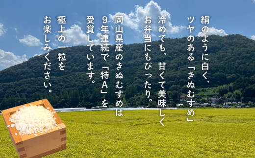 【令和7年産】きぬむすめ 「岡山ほたる米」 精米5kg (岡山県産) 産地直送 《数量限定》 真庭市【KF-R001-02】