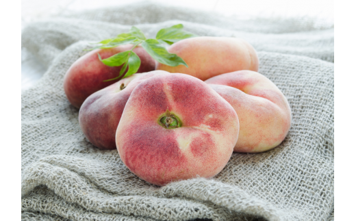 【きよとうファーム】幻の桃、蟠桃のリキュール「ほろ酔い紀元」(岡山県産)【KF-S001-02】